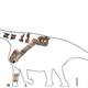 Illustration for article titled Newly discovered titanosaur was one of the largest land animals ever